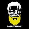 Barbe jaune - Tsamona drill - Single